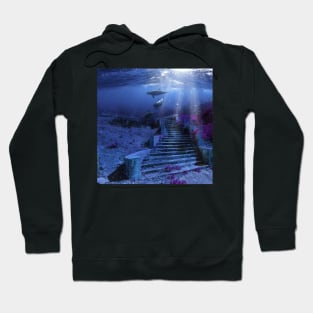 Underwater Paradise Hoodie